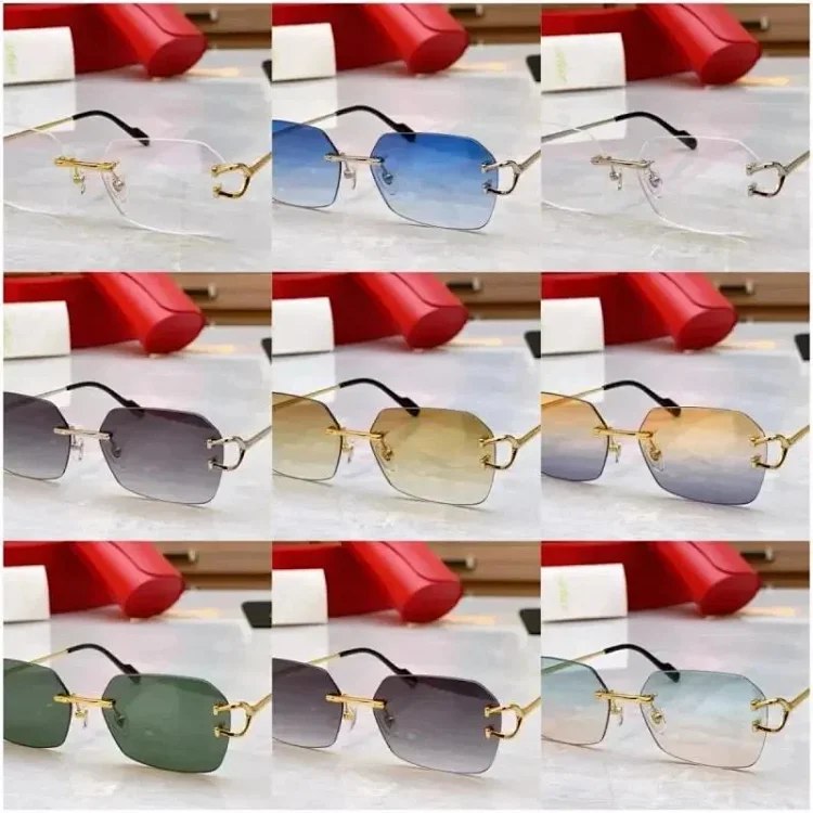 Cartier Panthère Rimless Sungl