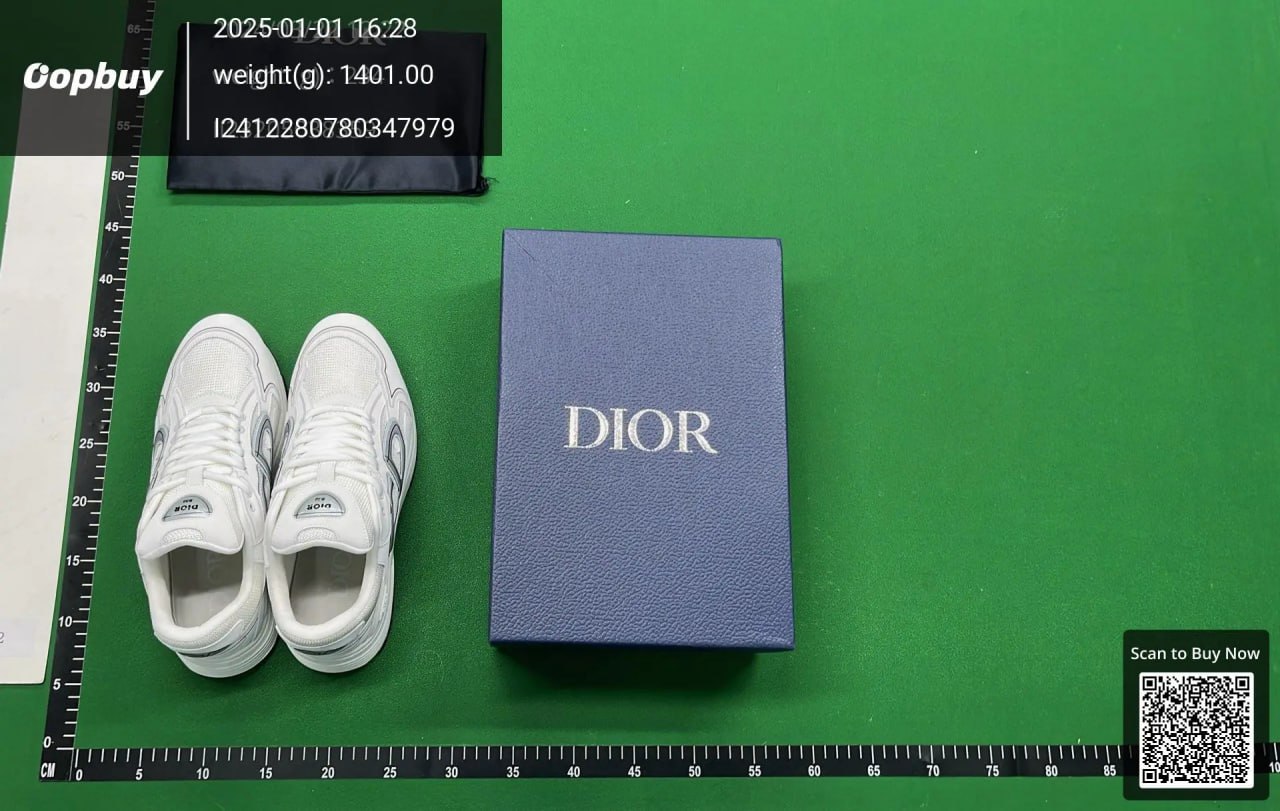 Dior B30 Sneakers Shoes （30 -4