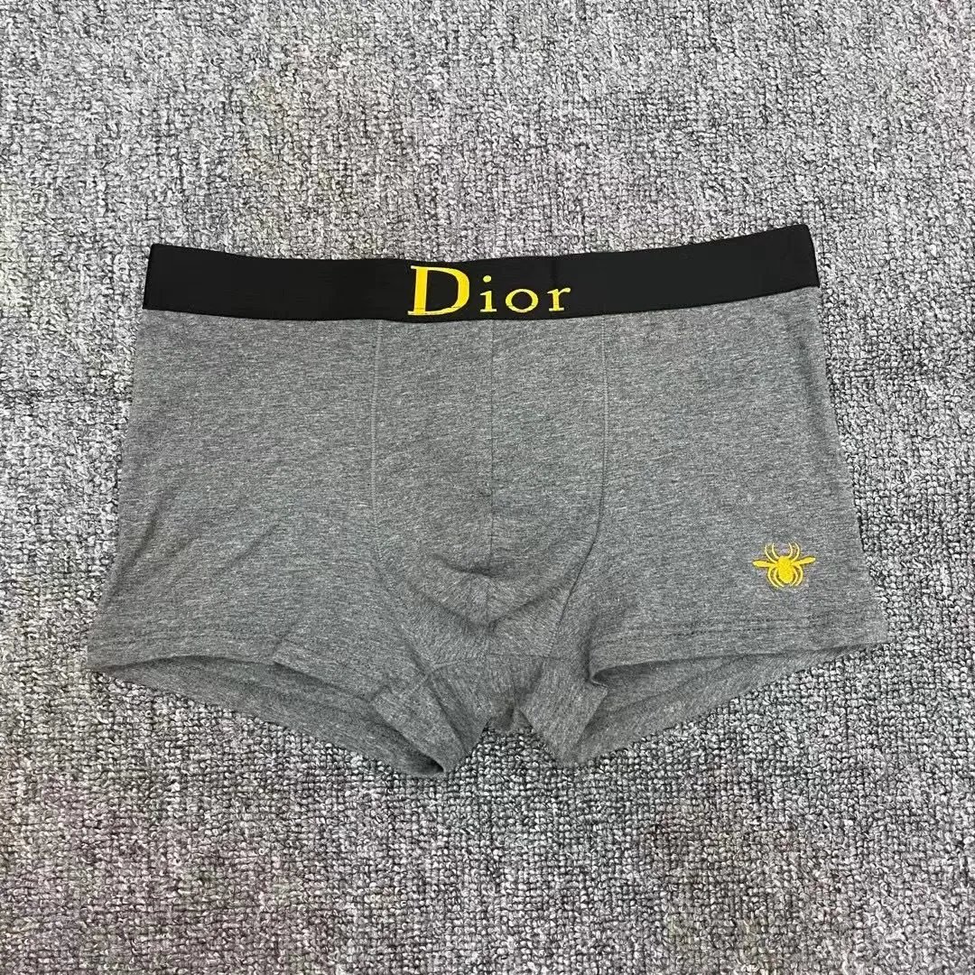 Dior Underwear -3