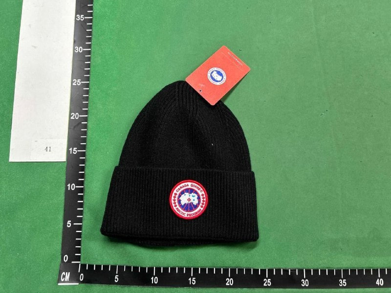 Canada goose hat (40 CP) -3