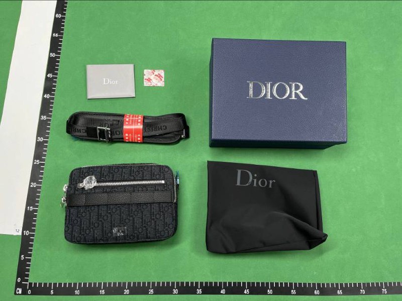 Dior camera bag -3