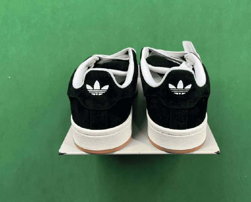 Adidas Campus -2
