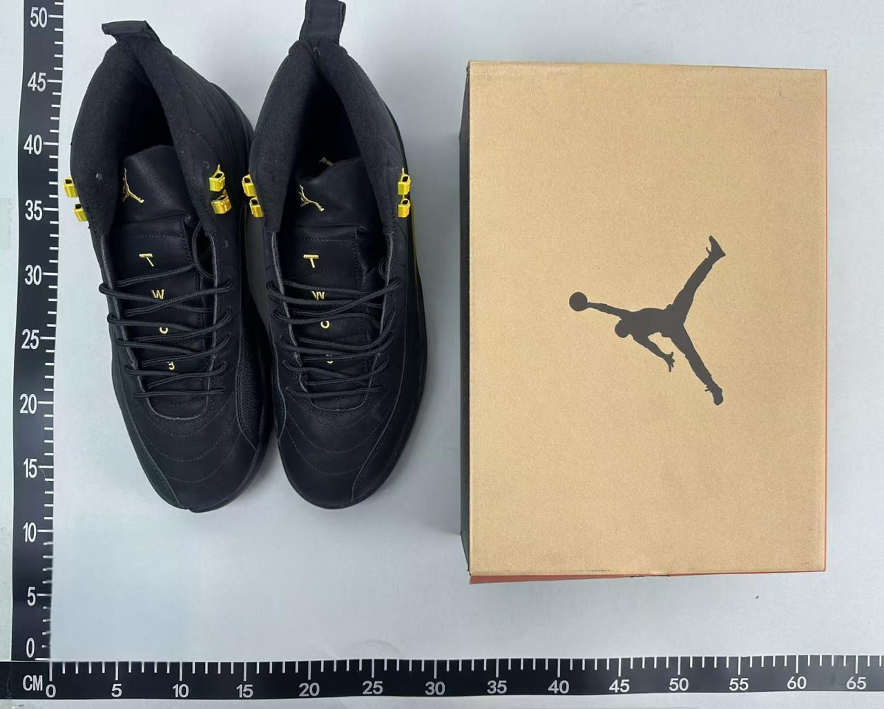 Jordan 12 -2