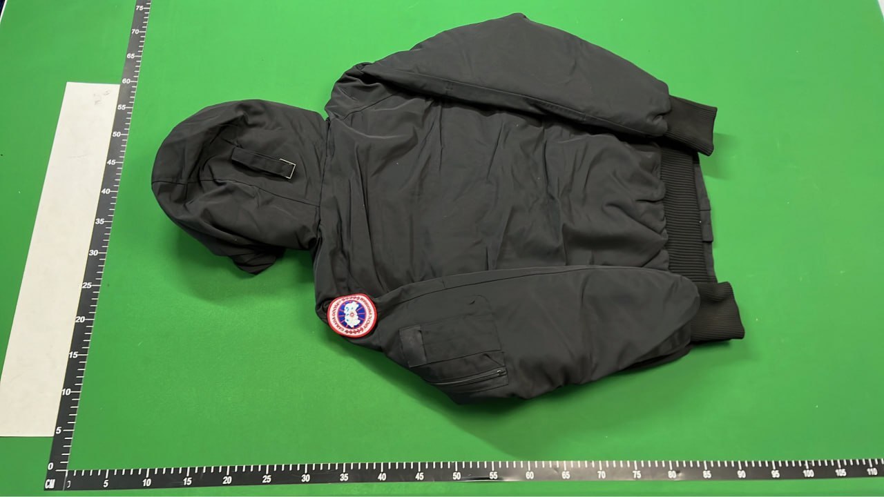 Canada Goose Down Jacket -1