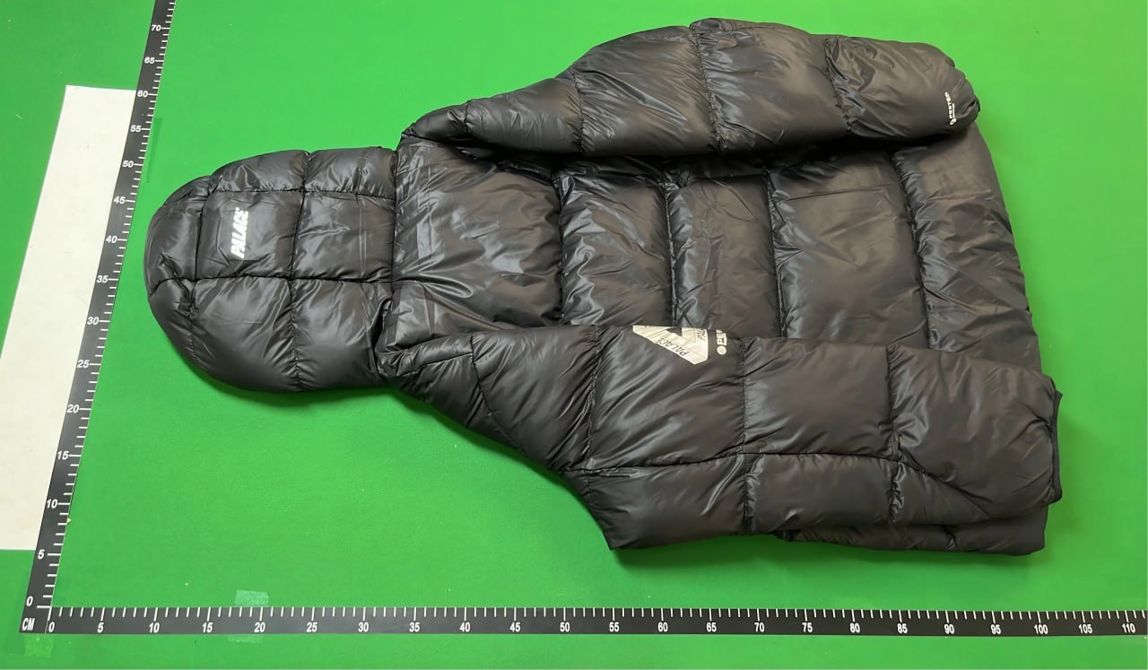 Palace Puffer -4